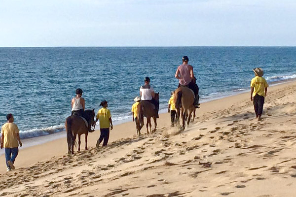 Phuket Riding Club 