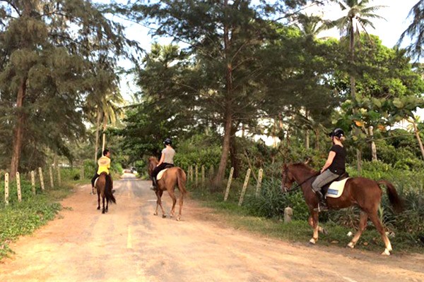 Phuket Riding Club 