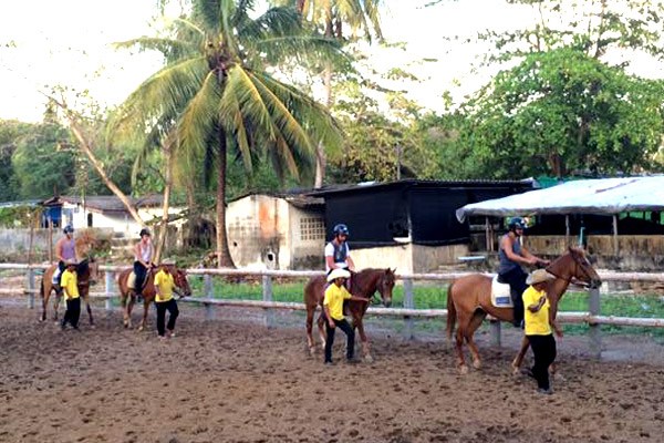 Phuket Riding Club 