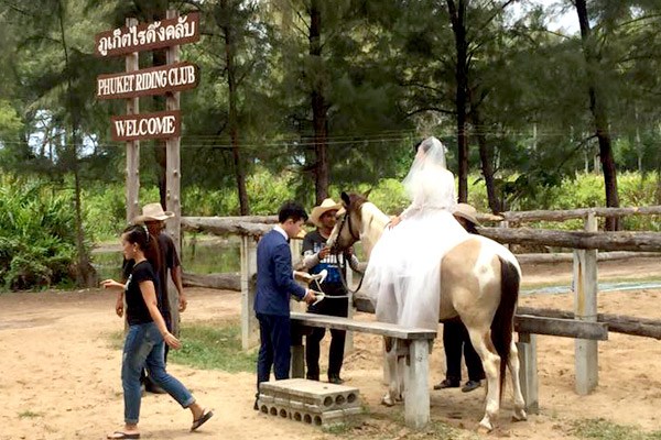 Phuket Riding Club 