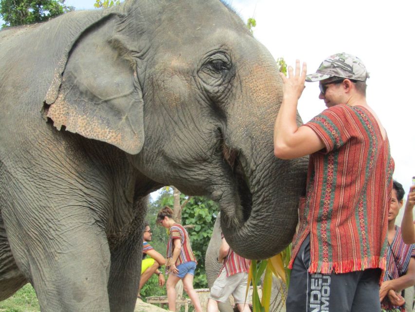 phuket elephant sanctuary interactive tour