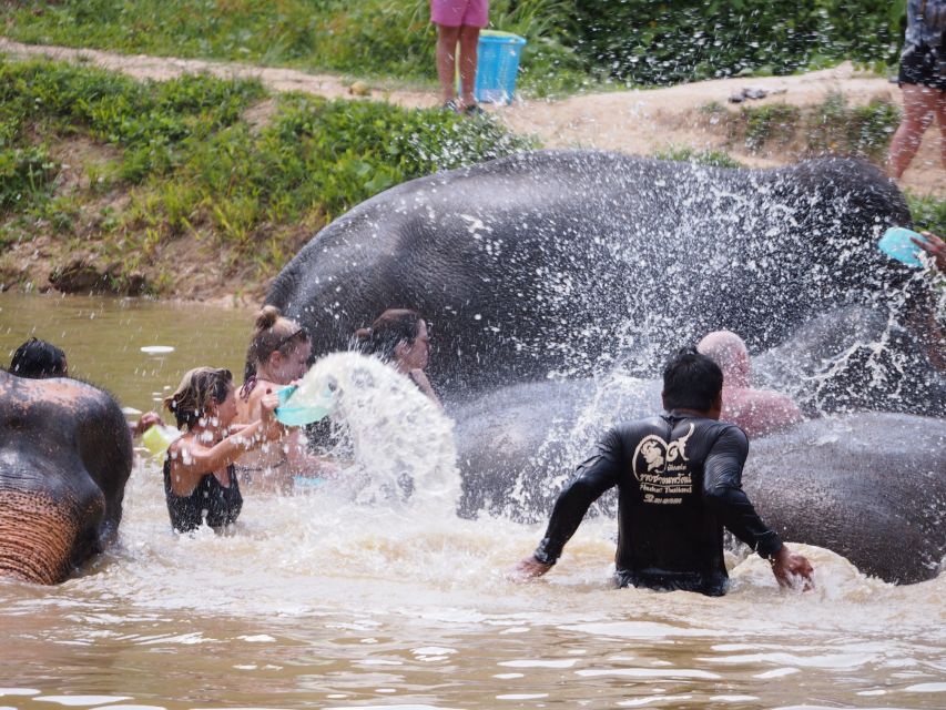 phuket elephant sanctuary interactive tour