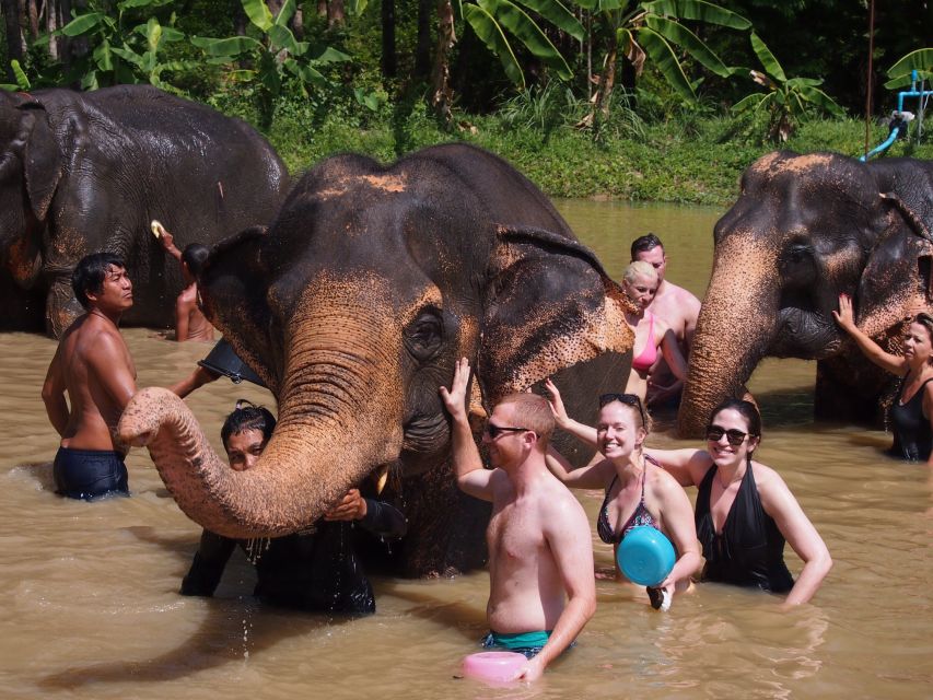 ethical elephant tour phuket