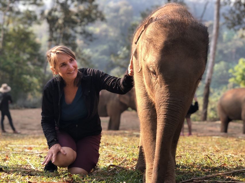 ethical elephant tour phuket