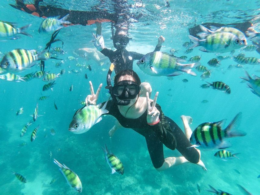 From Phuket: Phi Phi Viewpoint, Mai Ton & Khai Island Tour - Phuket.Net