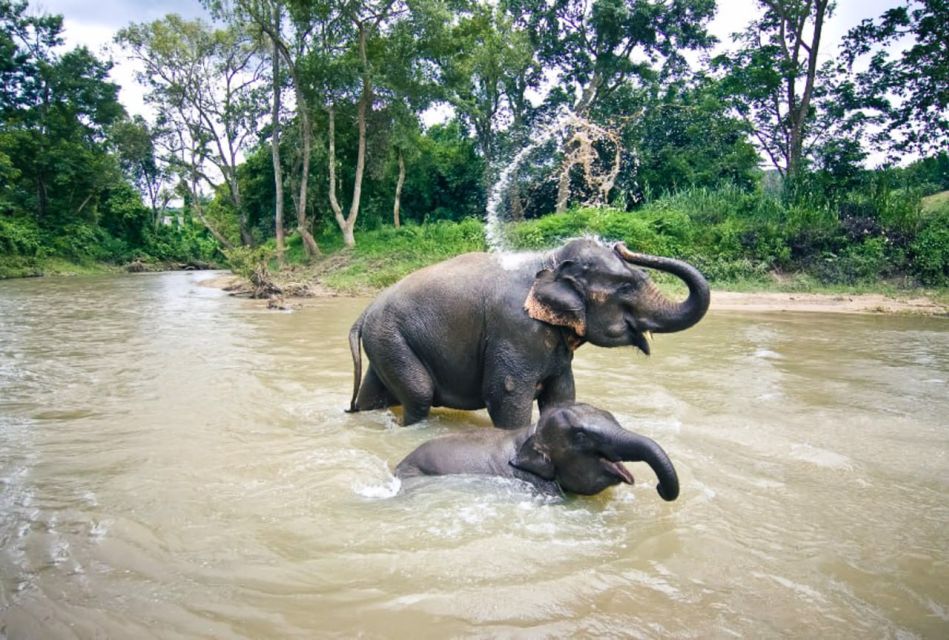 elephant tours khao lak