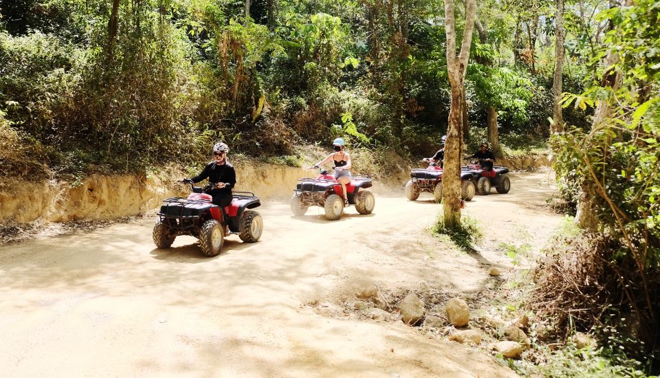 Phuket: Paradise ATV Jungle Adventure to the Big Buddha - Phuket.Net