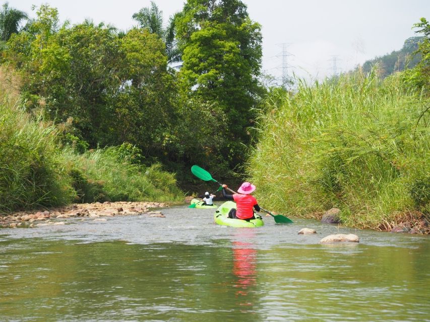 From Phuket & Khao Lak River Kayak & Elephant Care