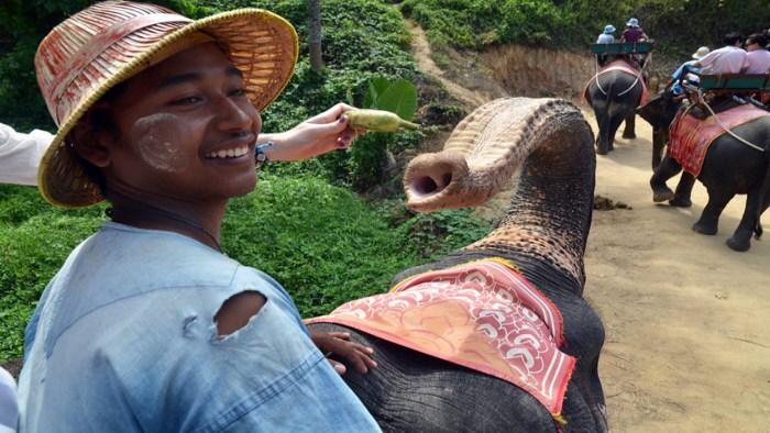 Elephant Trekking In Phuket Thailand Phuket Net