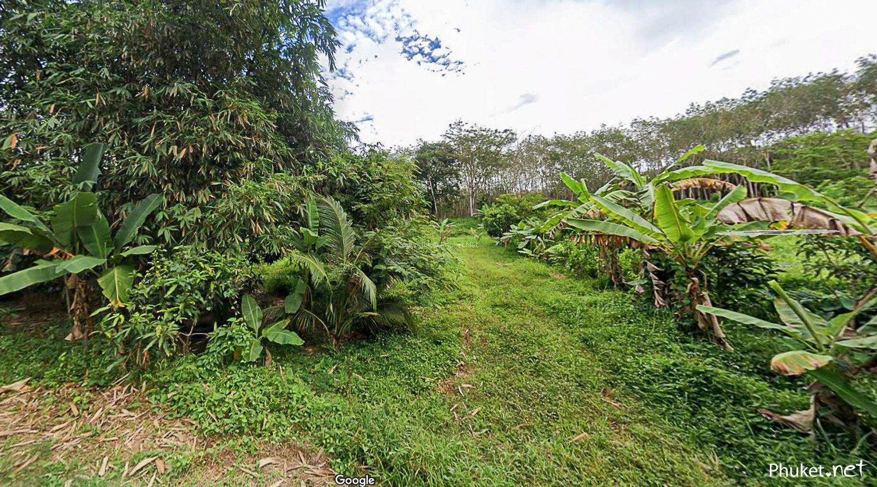 1 Rai Plot One Rai Land Plot near Mission Hills Phuket - Phuket Real Estate and ...