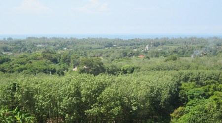 Sea View 6-Rai Land in Mai Khao