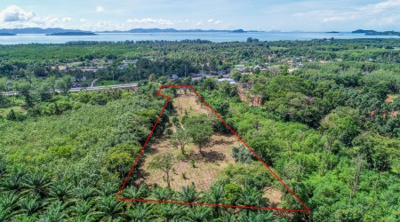Large 8 Rai Flat Land near Cape Yamu