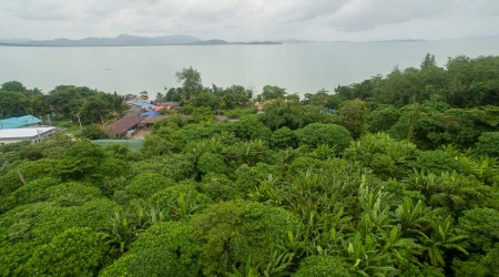 Rare 5.5 Rai Sea View Land on Coconut Island