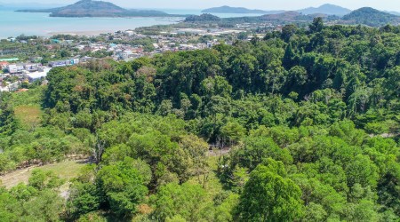 Good-sized 1,352 sqm Hillside Land Plot near Phuket Town