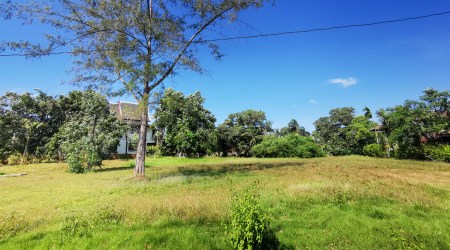 Good-sized 2 Rai Flat Land near Laguna Golf Course