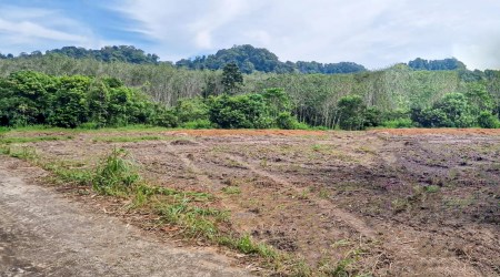 Ready-to-Build 2 and Half Rai Flat Land in Thalang