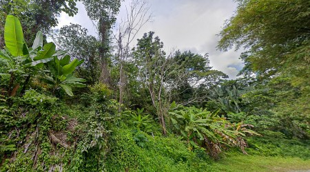 Nearly 3 Rai Land near Kathu Golf Course