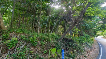 Rare Over 6 Rai Land near Nai Harn Beach